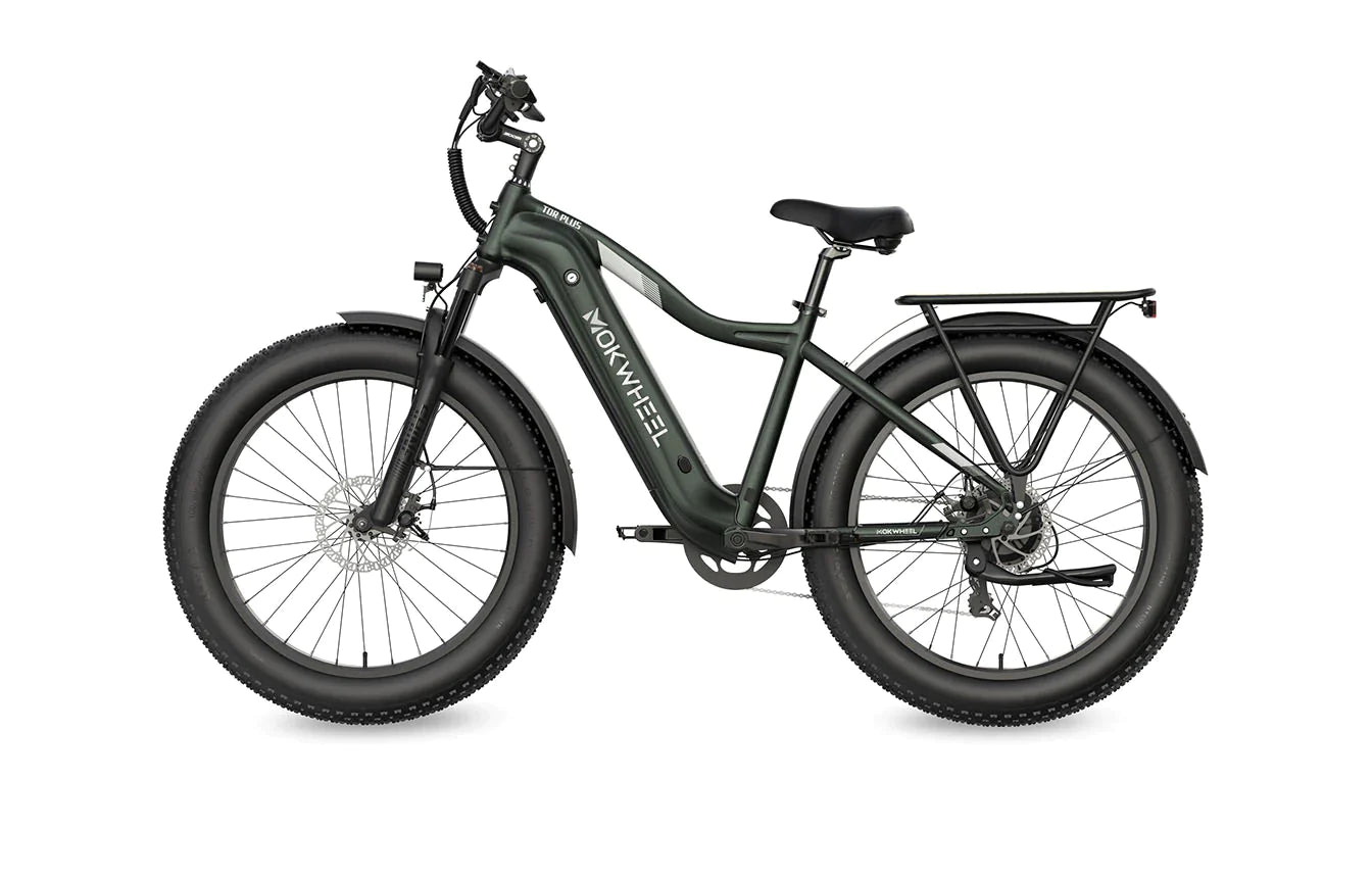 Fall Clearance Sale - Tor Plus E-Bike includes Free Basic 5 Accessory Pack ( Valued at $355 ) and Front/Back Fenders, Rear Rack