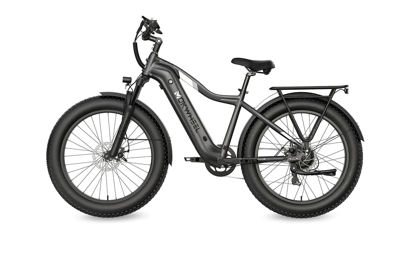 Fall Clearance Sale - Tor Plus E-Bike includes Free Basic 5 Accessory Pack ( Valued at $355 ) and Front/Back Fenders, Rear Rack