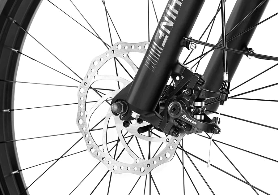 Front brake ( Mesa City )