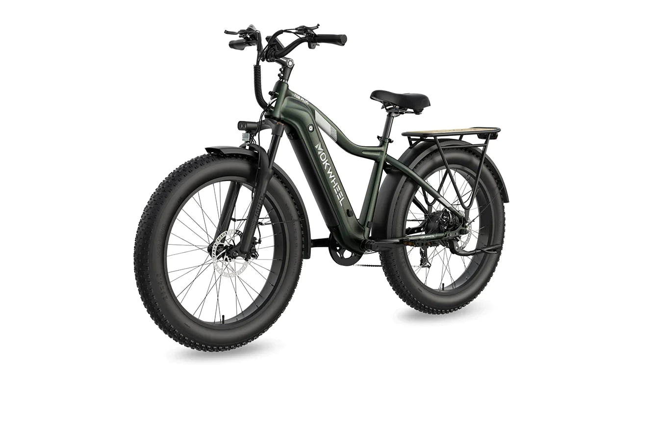 Fall Clearance Sale - Tor Plus E-Bike includes Free Basic 5 Accessory Pack ( Valued at $355 ) and Front/Back Fenders, Rear Rack