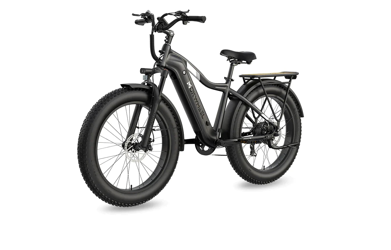 Fall Clearance Sale - Tor Plus E-Bike includes Free Basic 5 Accessory Pack ( Valued at $355 ) and Front/Back Fenders, Rear Rack