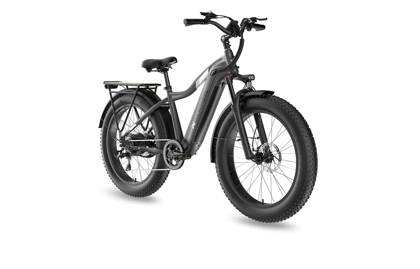 Fall Clearance Sale - Tor Plus E-Bike includes Free Basic 5 Accessory Pack ( Valued at $355 ) and Front/Back Fenders, Rear Rack