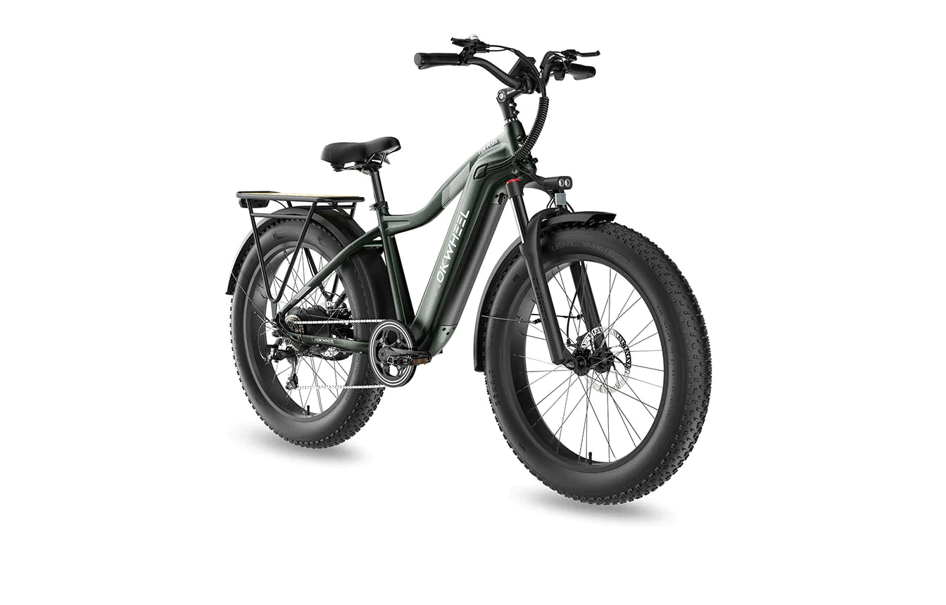 Fall Clearance Sale - Tor Plus E-Bike includes Free Basic 5 Accessory Pack ( Valued at $355 ) and Front/Back Fenders, Rear Rack