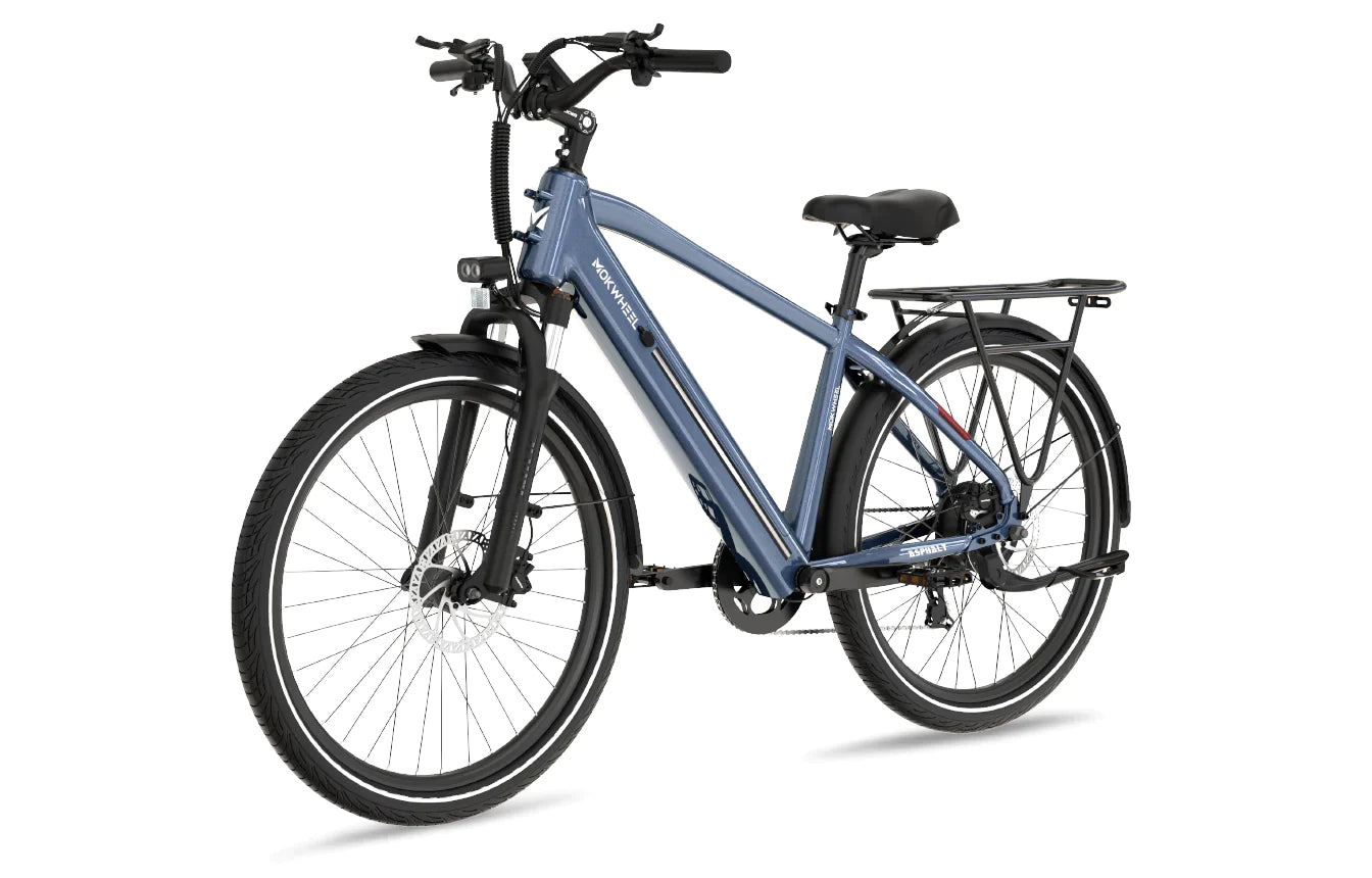 Asphalt 1.0 E-Bike with Free Basic 5 Accessory Pack ( $355 Value for Free! ) includes Front/Back Fenders, Rear Rack.