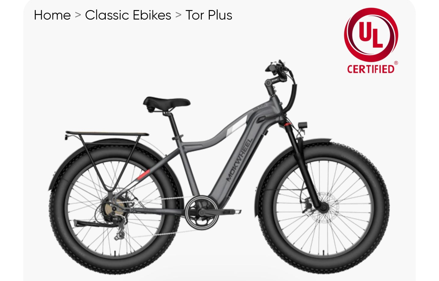 Fall Clearance Sale - Tor Plus E-Bike includes Free Basic 5 Accessory Pack ( Valued at $355 ) and Front/Back Fenders, Rear Rack